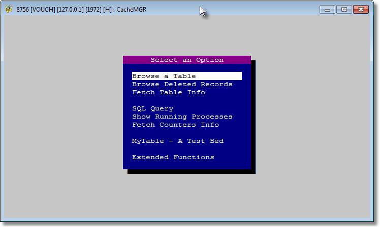 Main window after invoking CacheMGR.