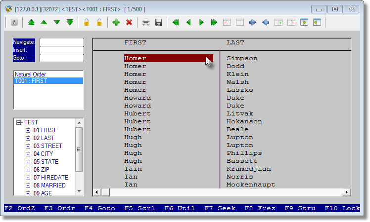 Click on <T001 : FIRST> index entry. Browser will refresh to honor this index.